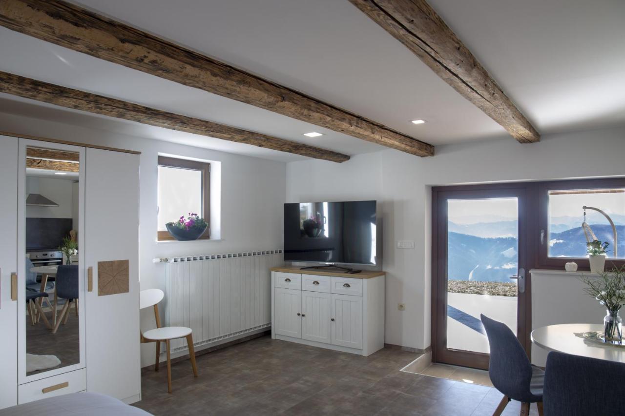 Studio 1111 With Sauna & Hot Tub Dravograd Extérieur photo